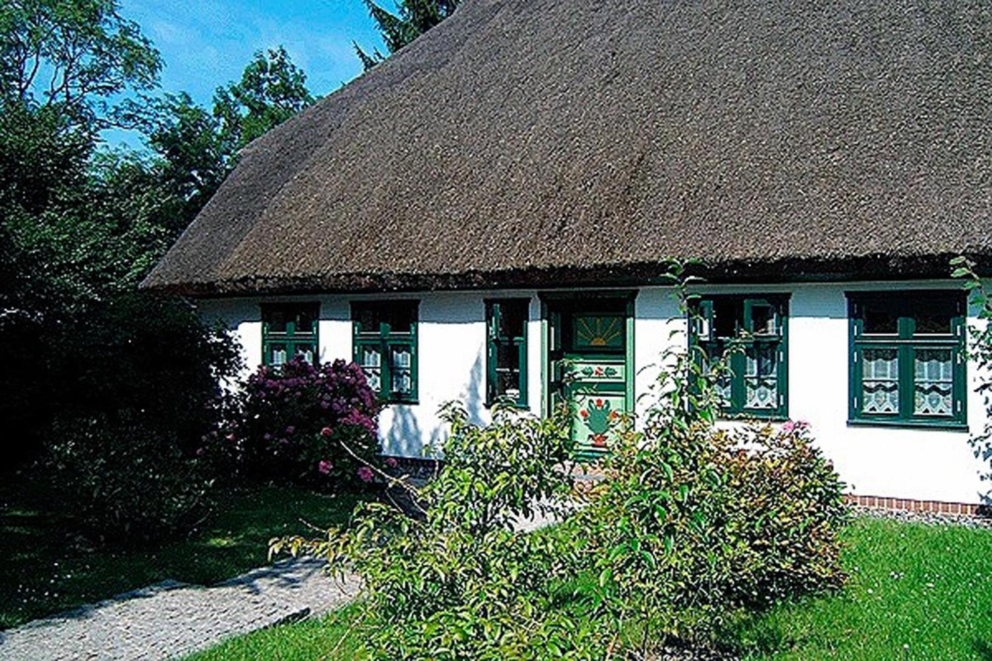 Ihrgistern, Fw 3 Apartment Zingst Exterior foto